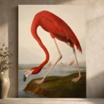 AJohn James Audubon merican Flamingo Famous Art Prints Canvas Print styled in a refined interior