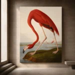 AJohn James Audubon merican Flamingo Famous Art Prints Canvas Print presented in a sophisticated home setting