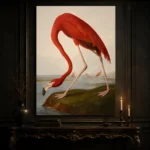 AJohn James Audubon merican Flamingo Famous Art Prints Canvas Print showcased in an elegant minimalist interior