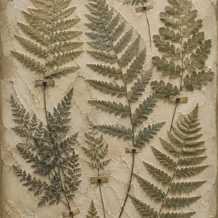 Pressed Herbarium Fern Wall Art Canvas Print