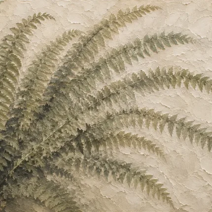 Sweeping Fern Fronds Wall Art Canvas Print