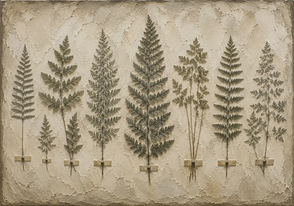 Botanical Specimen Fern Wall Art Canvas Print