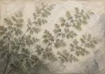 Branching Maidenhair Fern Wall Art Canvas Print