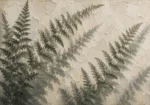 Diagonal Woodland Fern Wall Art Canvas Print