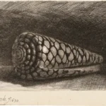The Shell (Conus Marmoreus) by Rembrandt, a living room wall art print for refined interiors