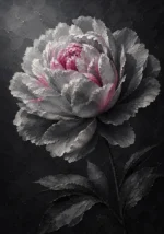 Graphite & Rose black and white wall art for bedroom print featuring a dramatic peony bloom with subtle rose accents for elegant interiors