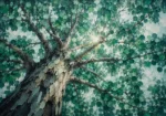 Mint gallery neutral botanical wall art featuring a majestic eucalyptus canopy with emerald and mint foliage for sophisticated interiors