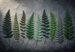 Botanical mint pressed fern wall art featuring preserved fern fronds in an elegant editorial arrangement for refined interiors