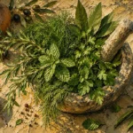 Moss & Sage herb wall art print featuring rosemary, mint, dill, parsley, and bay leaves in an antique stone mortar for elegant botanical interiors