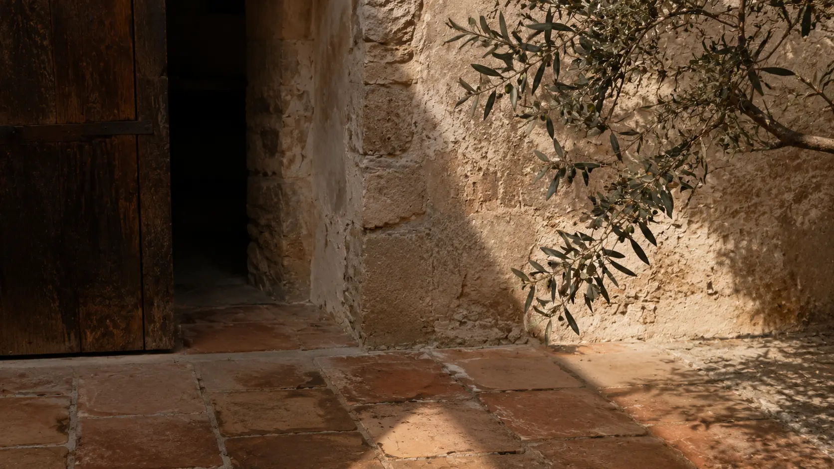 Weathered Tuscan stone, terracotta and olive tones shaped by natural light