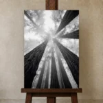 Premium Wall Art Dikey Html Edition – MONOCHROME0826078 displayed on a studio easel
