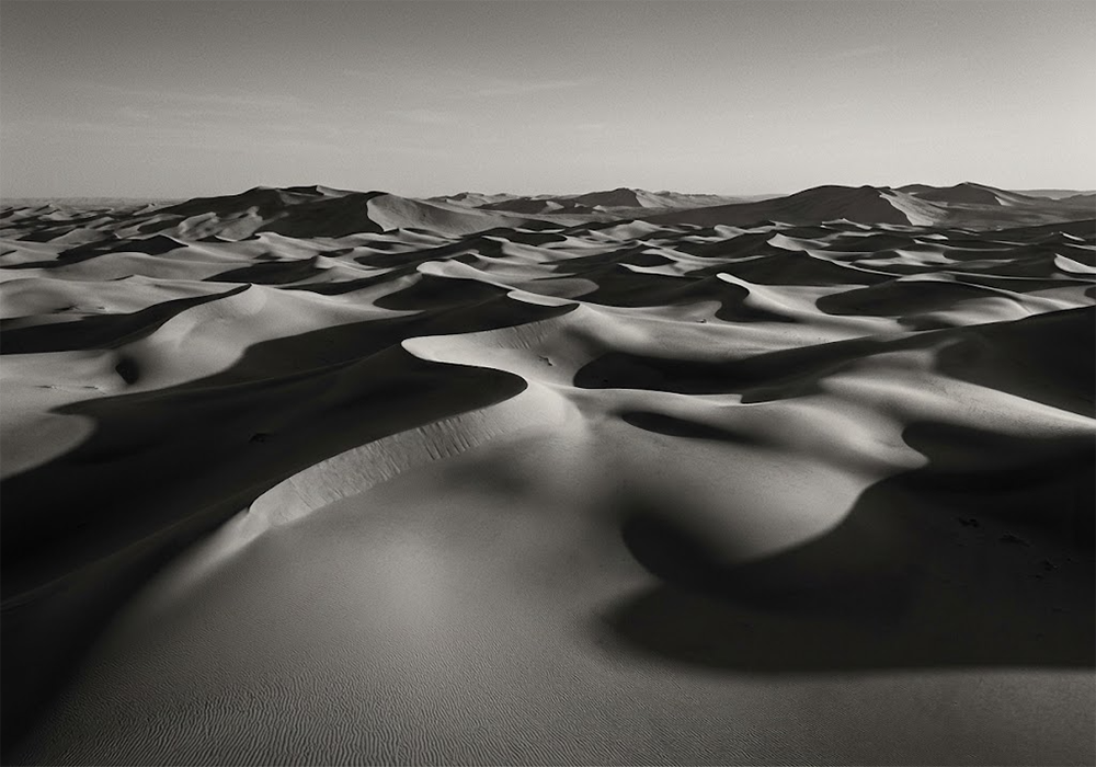 Ash Symphony Black And White Photo Artwork Charcoal & Gold Art Print